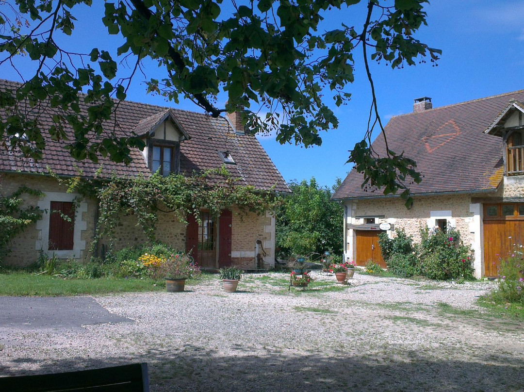 Rouffignac-Saint-Cernin-de-Reilhac旅游攻略图片