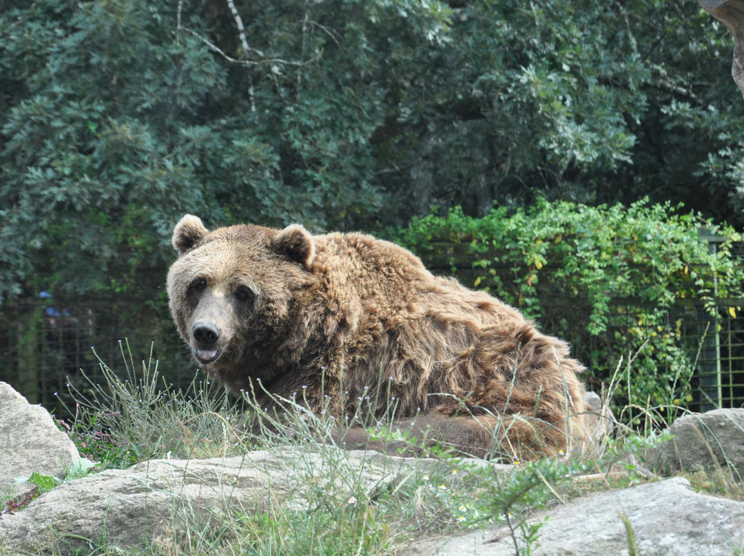 Marcelle Natureza-Outeiro de Rei必去景点