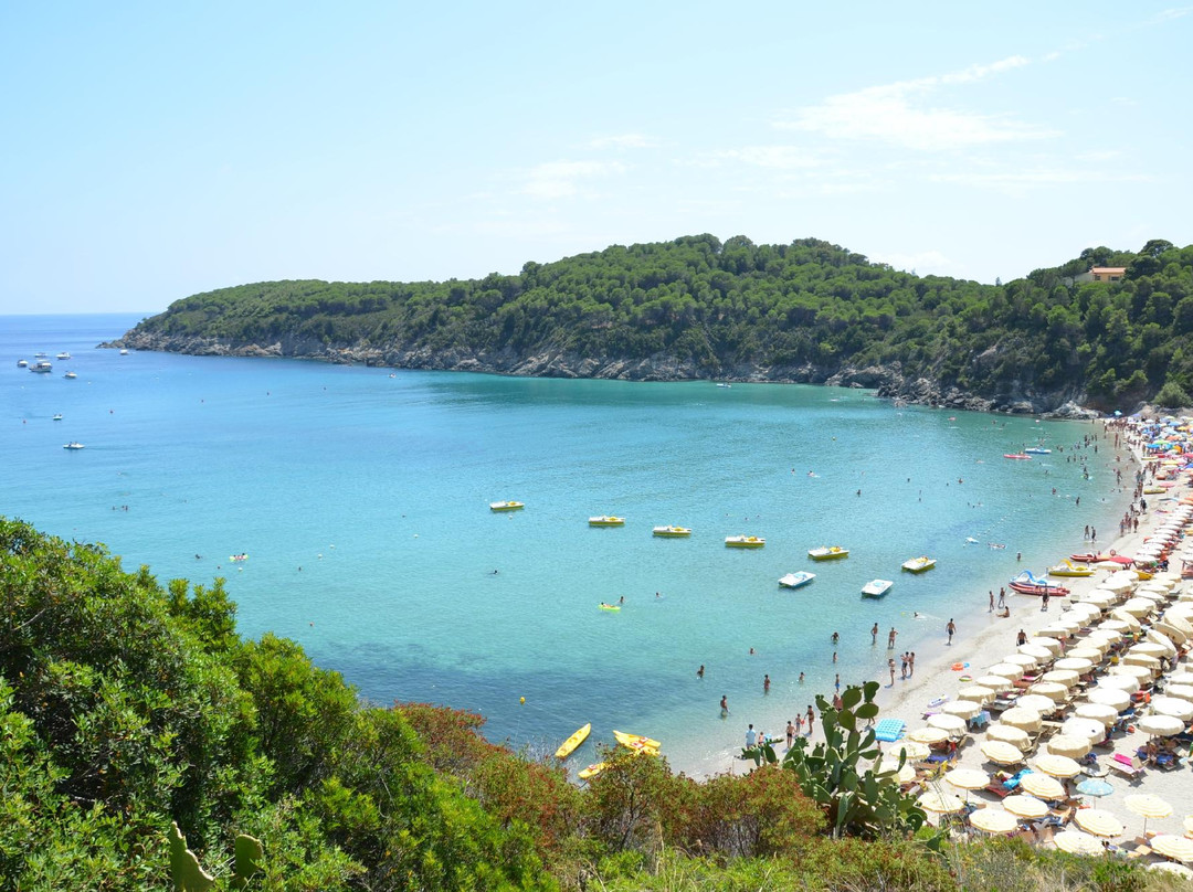 Spiaggia di Fetovaia景点图片