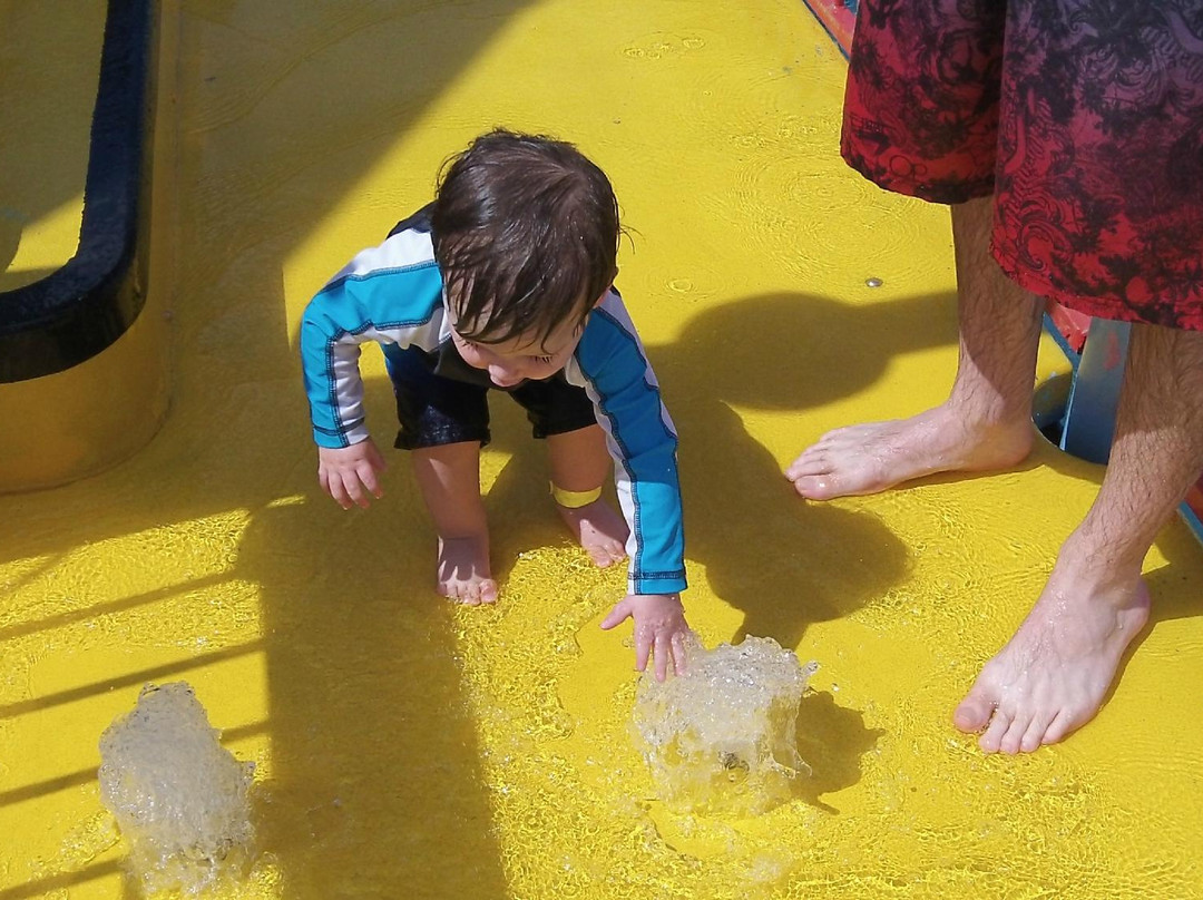 Coconut Cove Waterpark-博卡拉顿必去景点