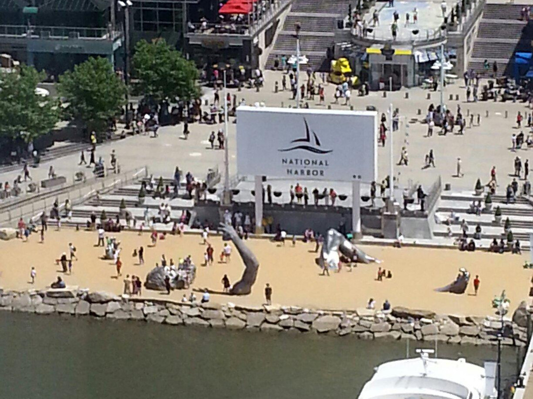 The Capital Wheel-国家港口必去景点