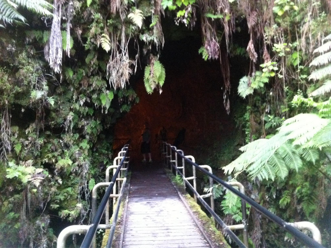 瑟斯顿熔岩隧道-夏威夷火山国家公园必去景点