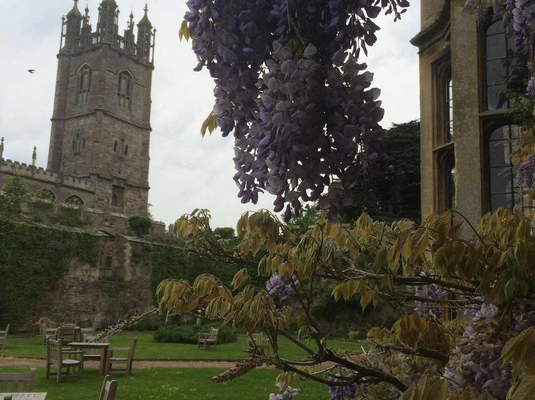 Thornbury Castle-桑伯里必去景点