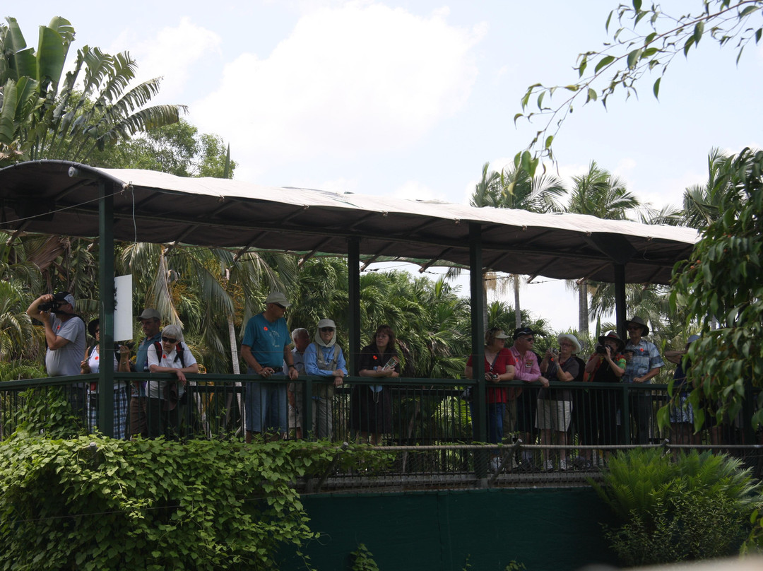 Crocodylus Park-达尔文市必去景点