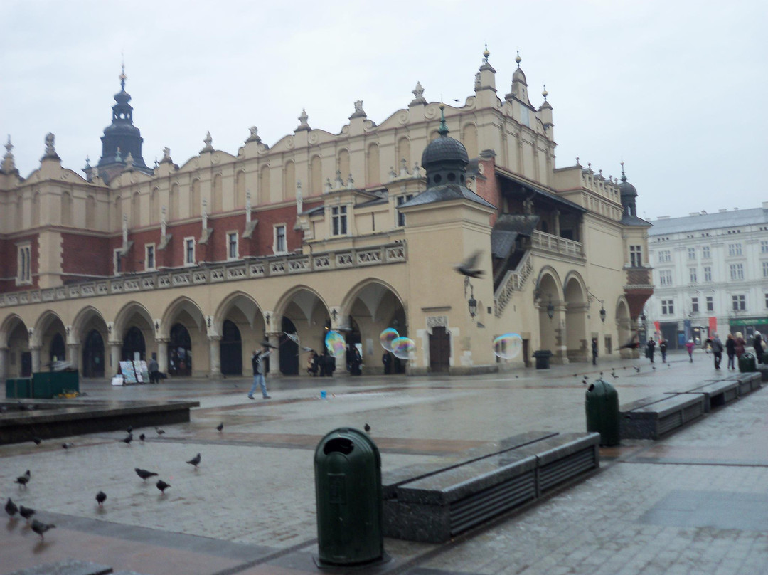 Joanna Czechowska - Cracow Tour Guide景点图片