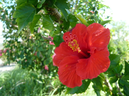 Whole Earth Nature School - Day Tour