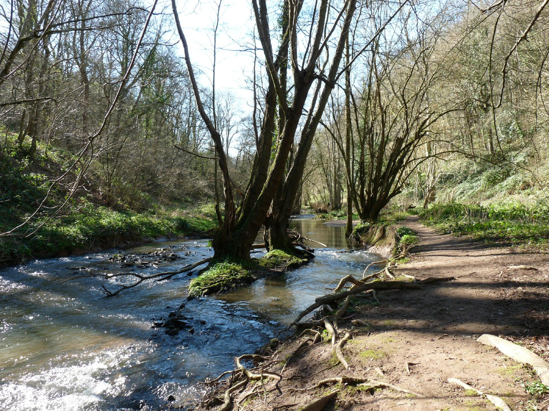 Knapp & Papermill Reserve景点图片
