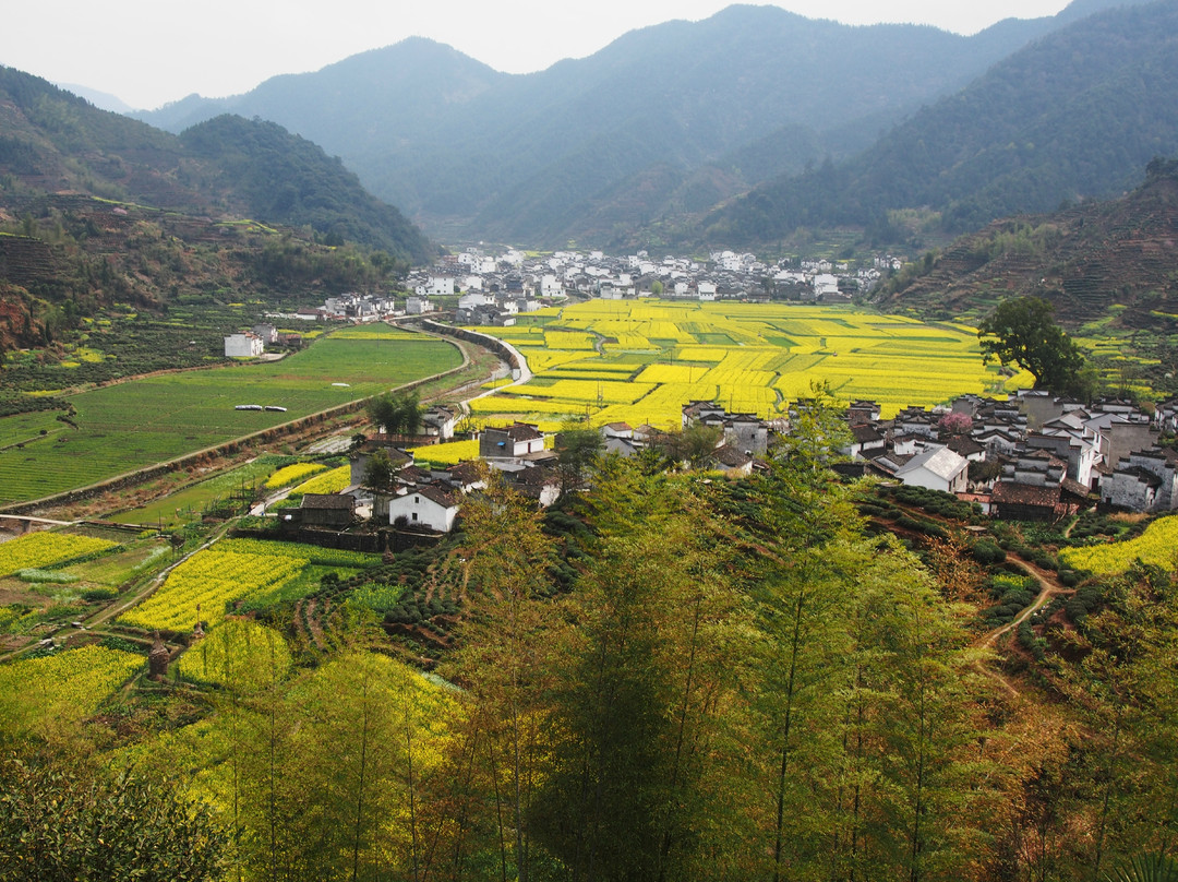 婺源油菜花地-婺源县必去景点