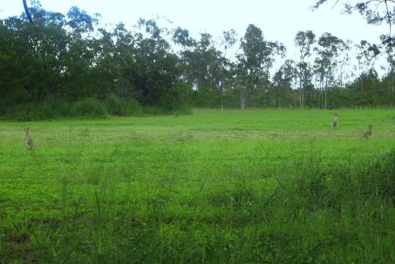 Perentie Tours-凯恩斯必去景点