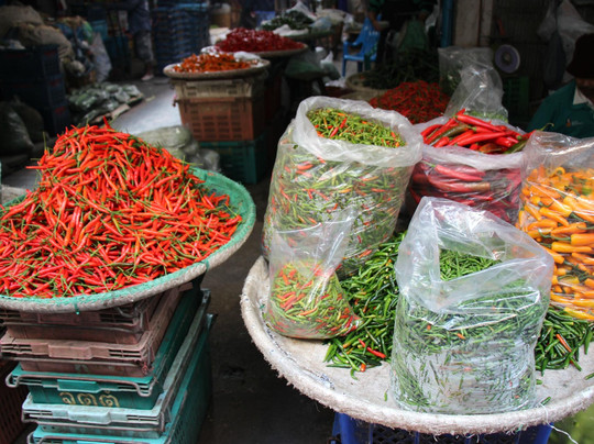 LJ Tour Co.,Ltd-曼谷必去景点