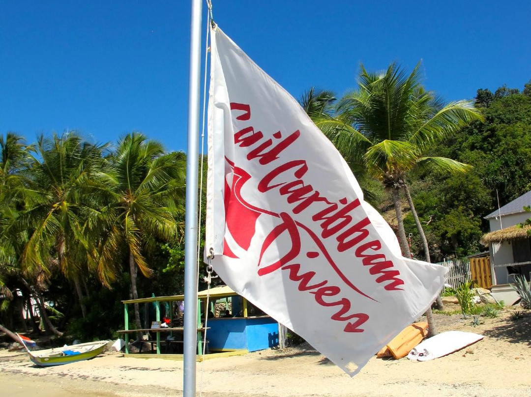 Sail Caribbean Divers-Road Town必去景点