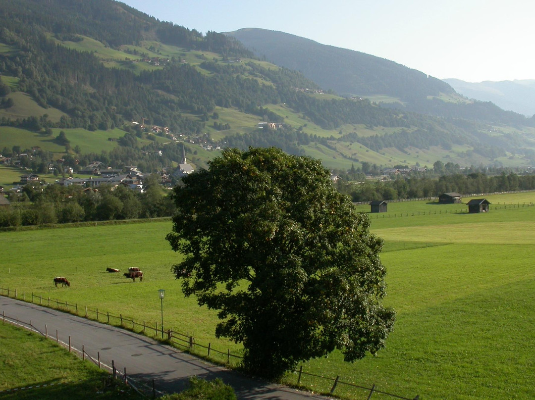 Pension Kristall主图