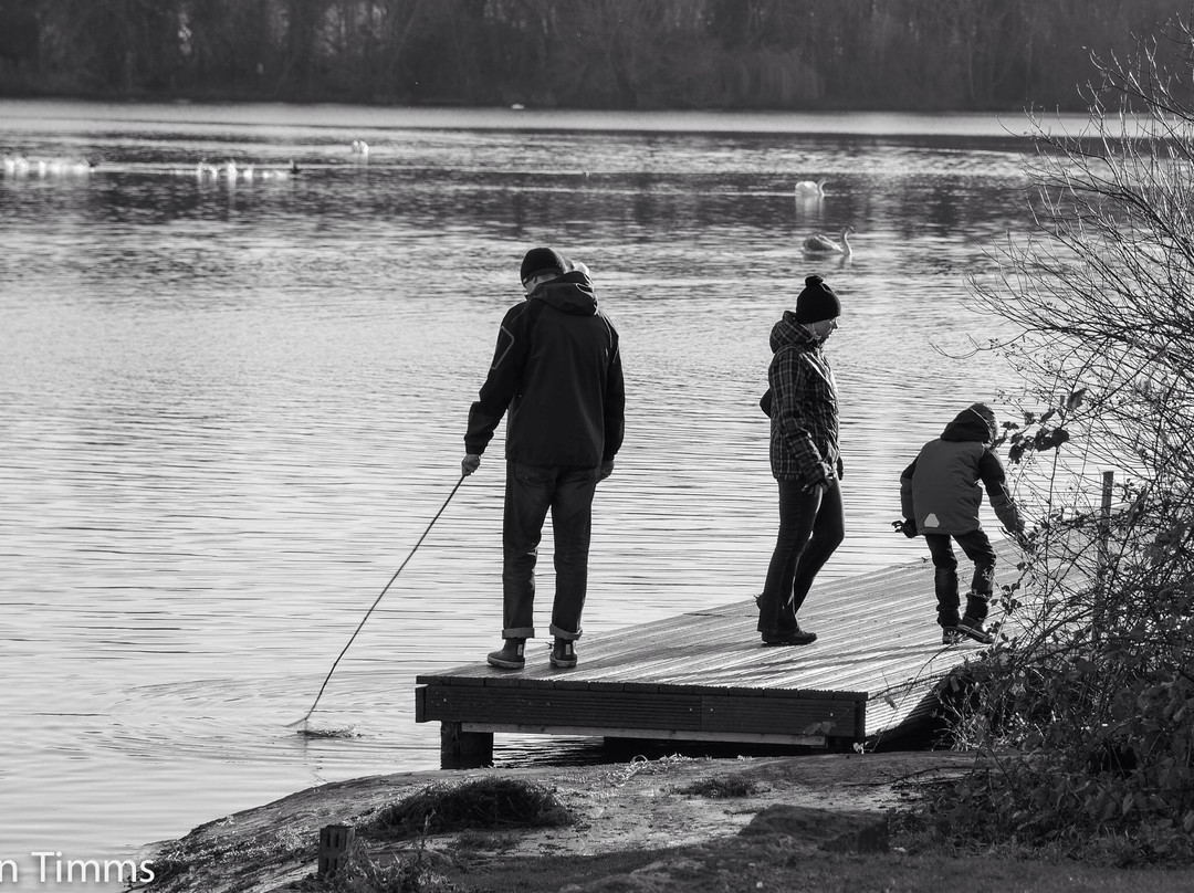Coate Water Country Park景点图片