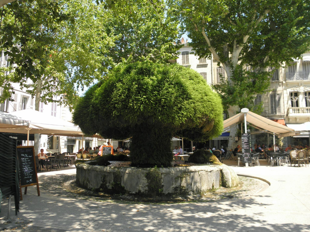 Fontaine Moussue景点图片