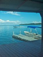 Bocas Surf School & Hostel景点图片