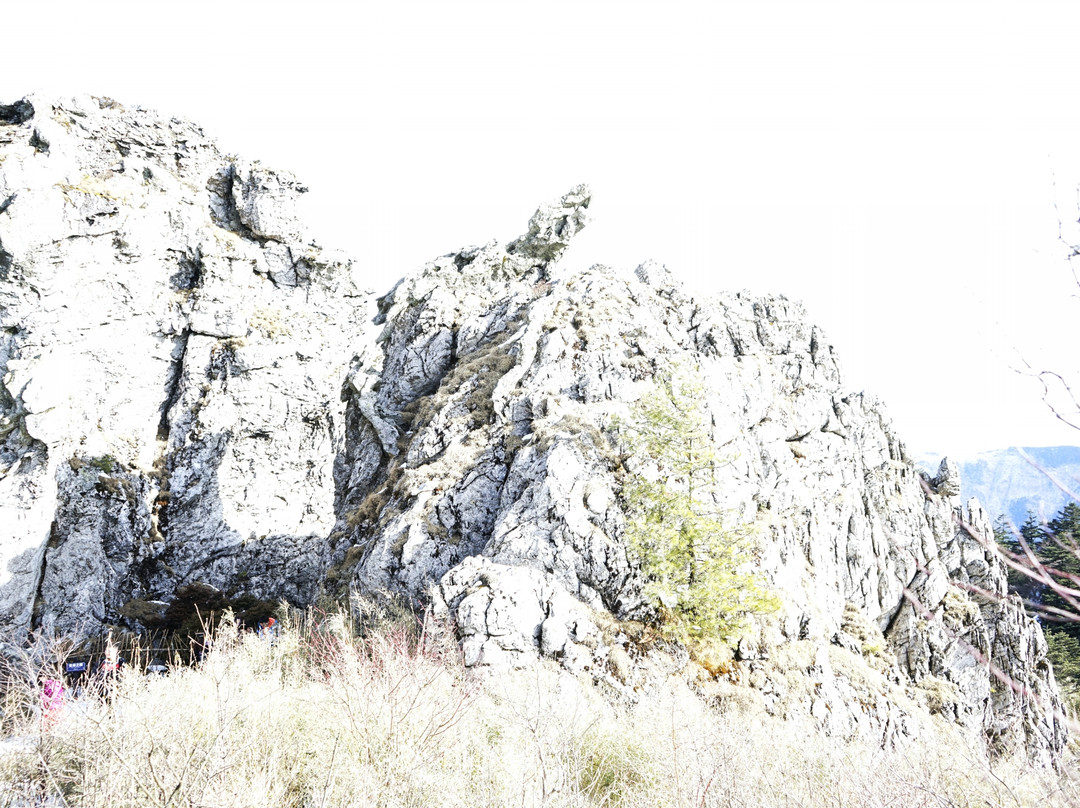 神农顶国家自然保护区-神农架林区必去景点