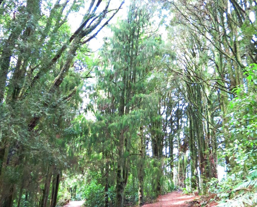 Patea River景点图片