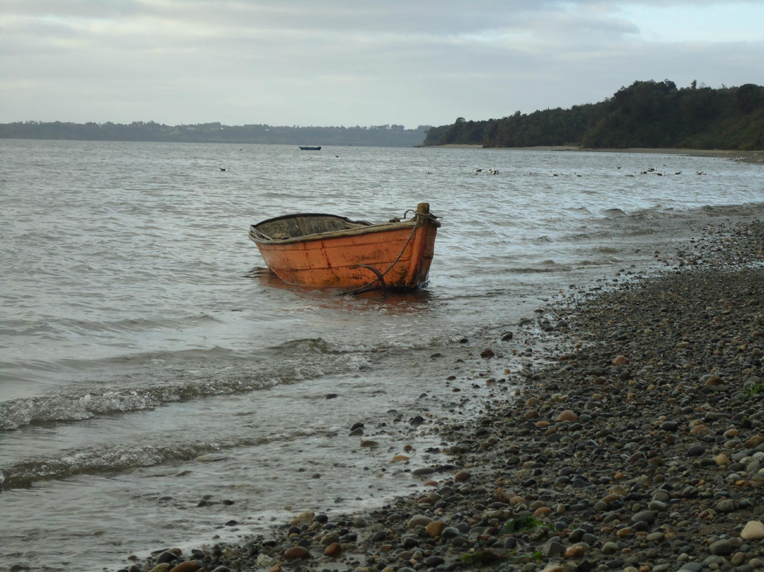 Chiloe Austral-Ancud必去景点