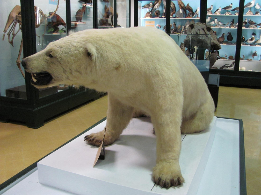 Museo Civico di Storia Naturale