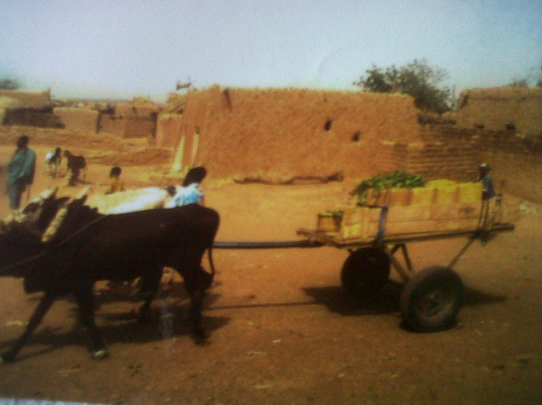 Niger Sahara-Zinder Region必去景点