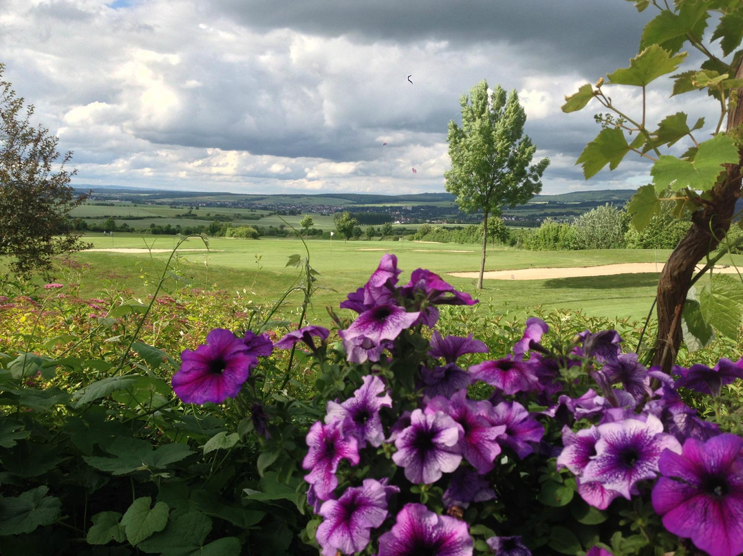 Golfpark Idstein - Südkurs景点图片