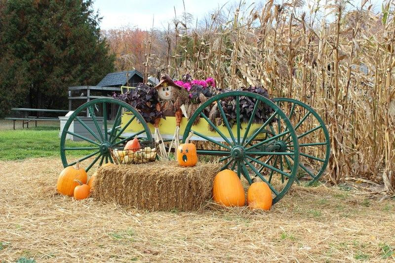 The Farm-斯特金贝必去景点