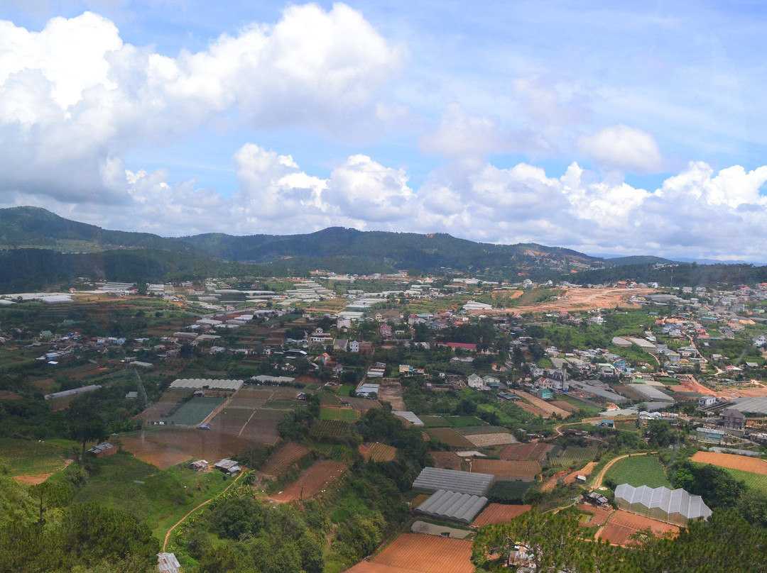竹林禅院-大勒必去景点