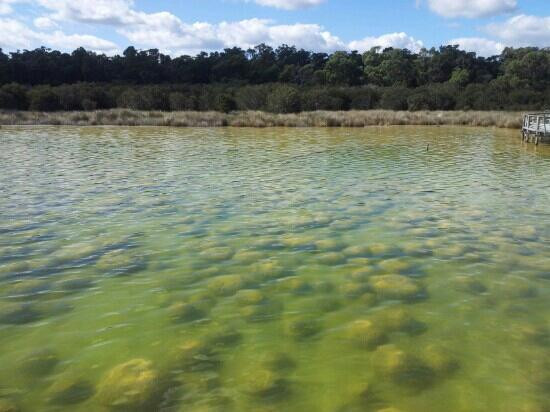 Lake Clifton-Yalgorup National Park必去景点