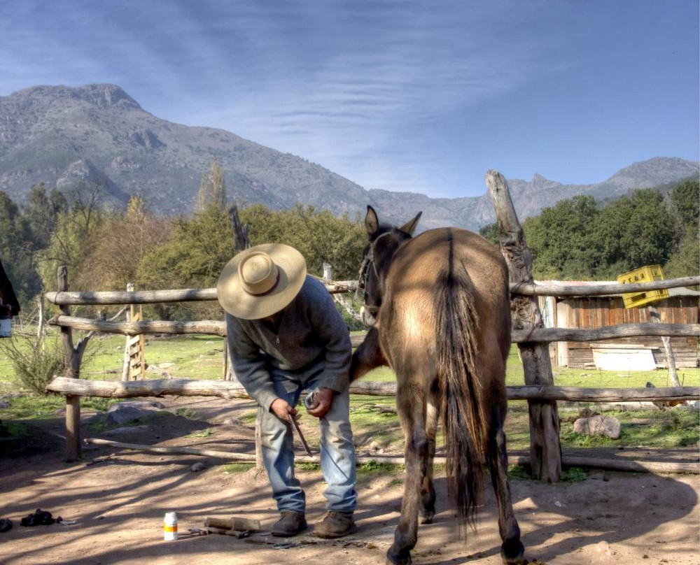 Bufo Eventos Culinarios & Excursiones-瓦尔帕莱索必去景点