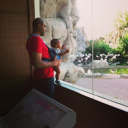 Posh Paws Animal Sanctuary And Petting Zoo-沙迦必去景点