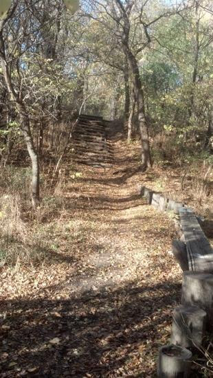 Wilderness Park-林肯必去景点