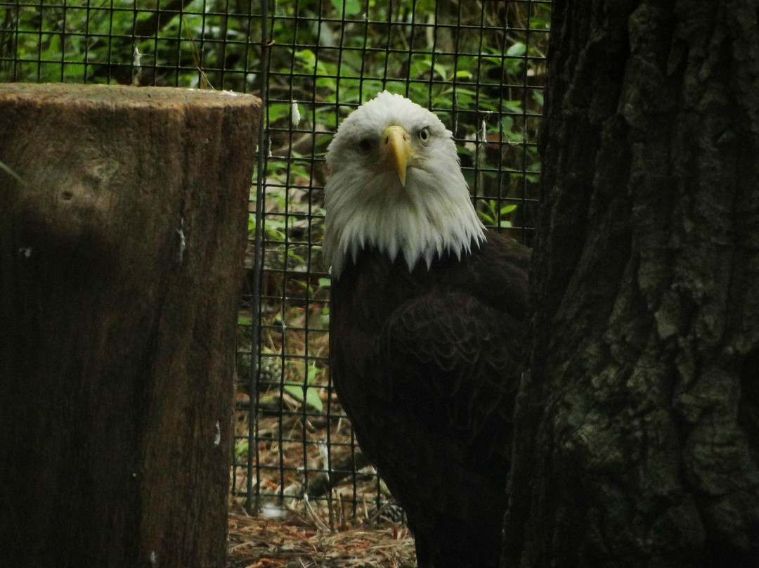 Cedar Run Wildlife Refuge景点图片