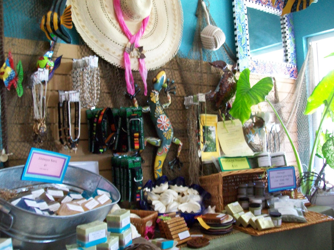 Beach Bubbles Cayman-大开曼岛必去景点