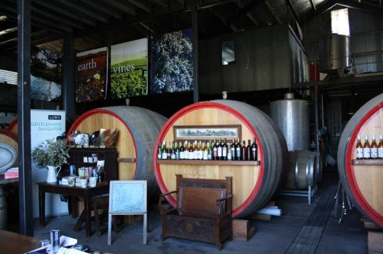 Lowe Wines-马奇必去景点