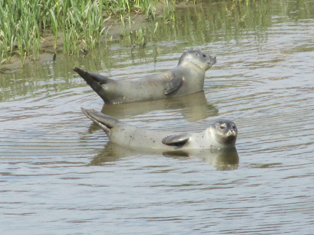 Donmouth Local Nature Reserve-阿伯丁必去景点