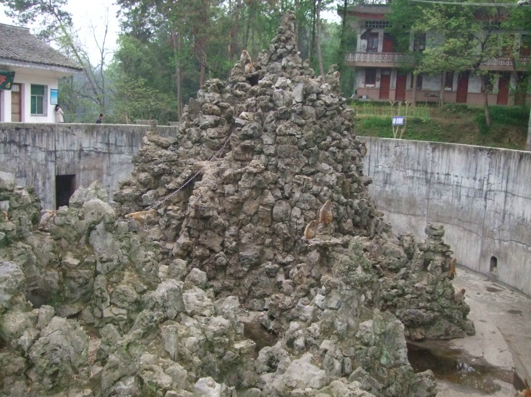 南湖公园景点图片