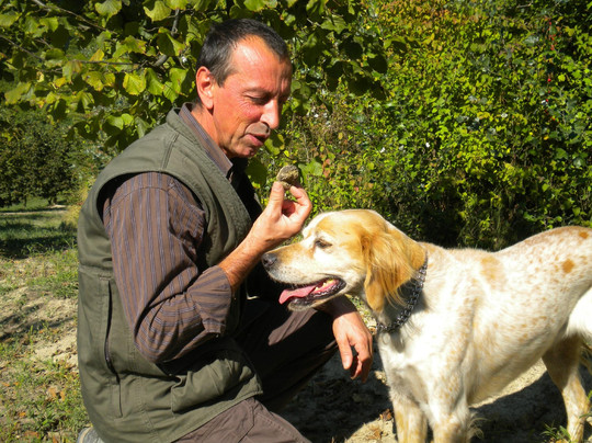 Albaway-阿尔巴必去景点