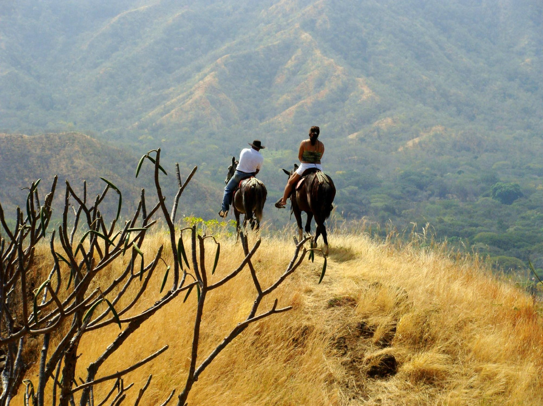 Life Time Tours of Costa Rica - Day Tours景点图片