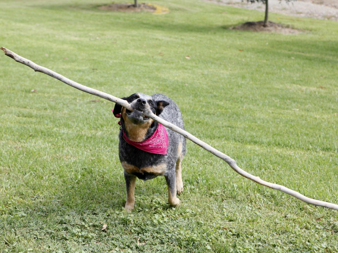 Ballabourneen by Binet Family Wines-Rothbury必去景点