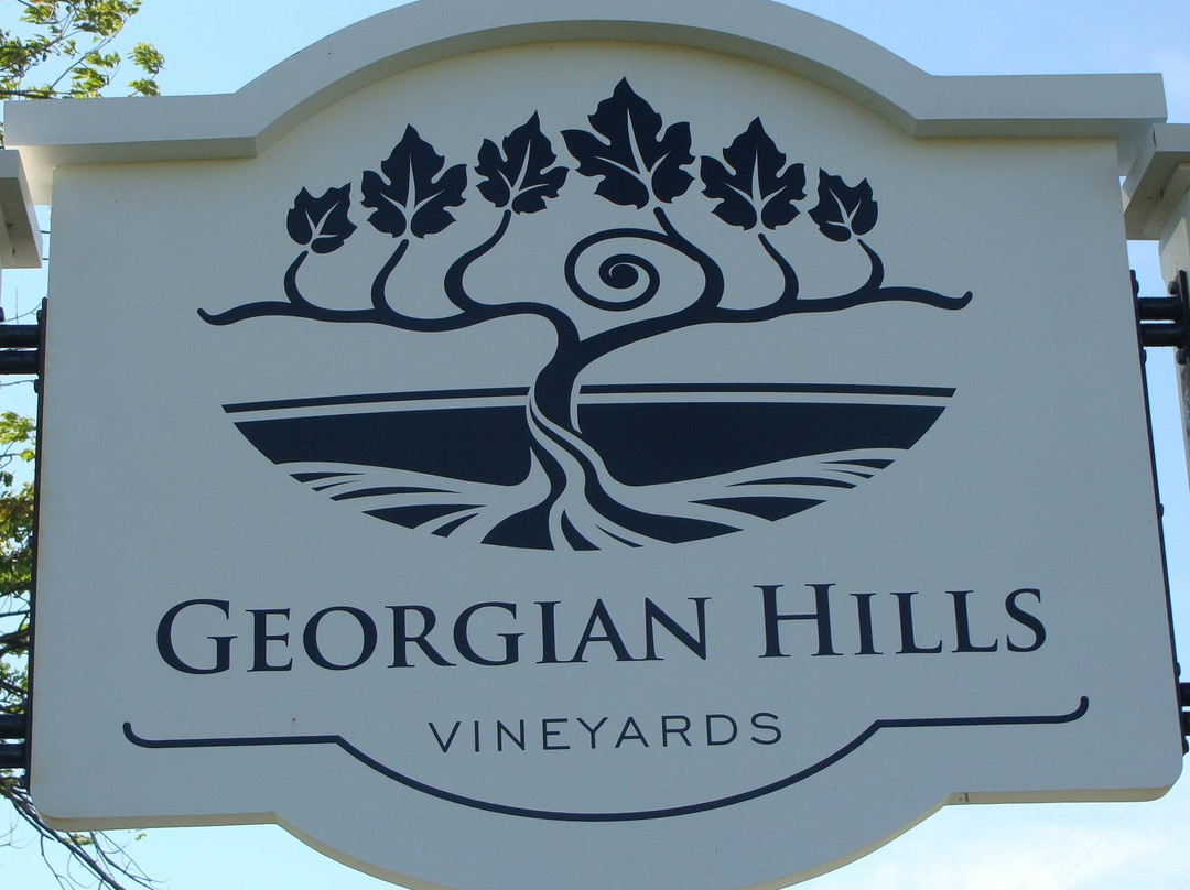Georgian Hills Vineyards-蓝山必去景点