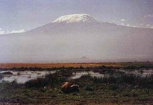 Afrika Sights and Adventures-蒙巴萨必去景点