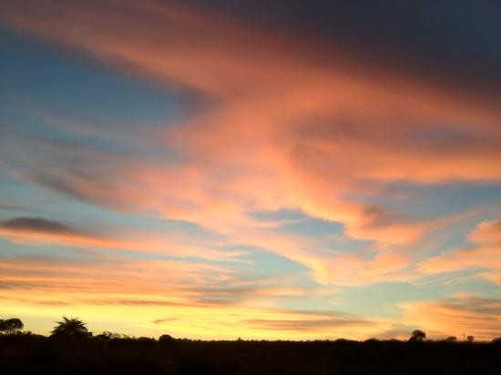 The Wine Experience-Jose Ignacio必去景点