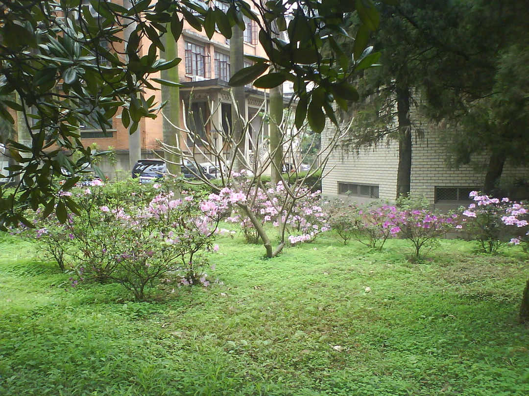 广州中山大学-广州市必去景点