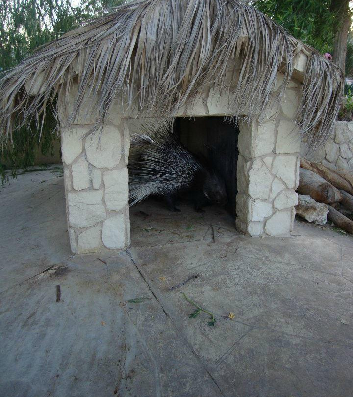 Al Areen Wildlife Sanctuary-Sakhir必去景点