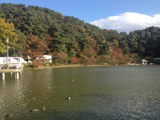 Garyu Park-须坂市必去景点