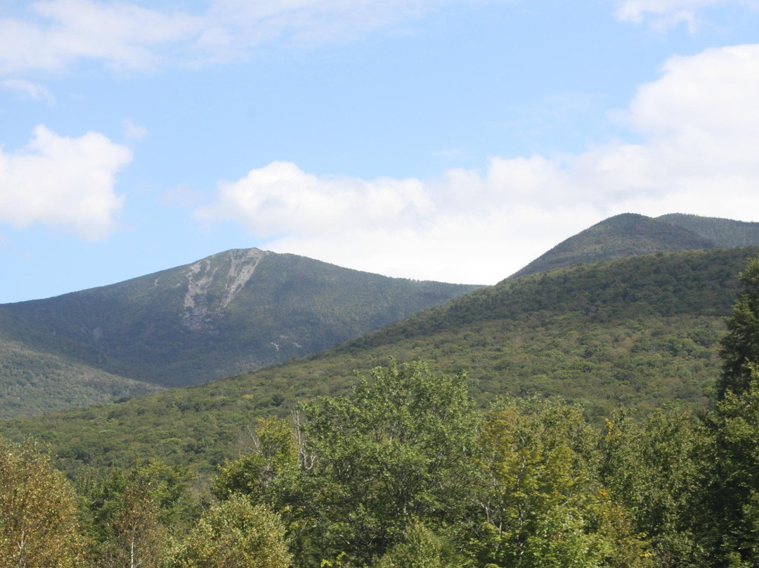White Mountain National Forest景点图片