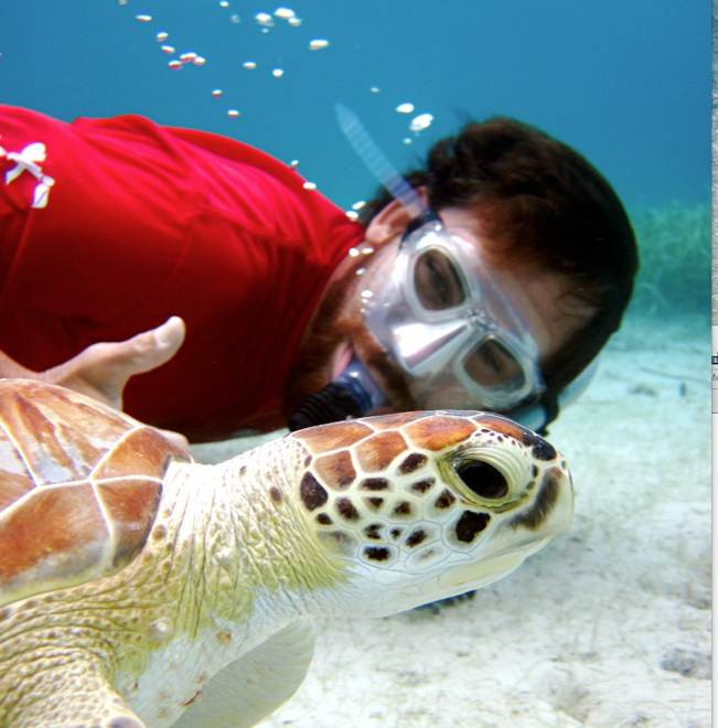 Kayaking Puerto Rico-库莱布拉岛必去景点