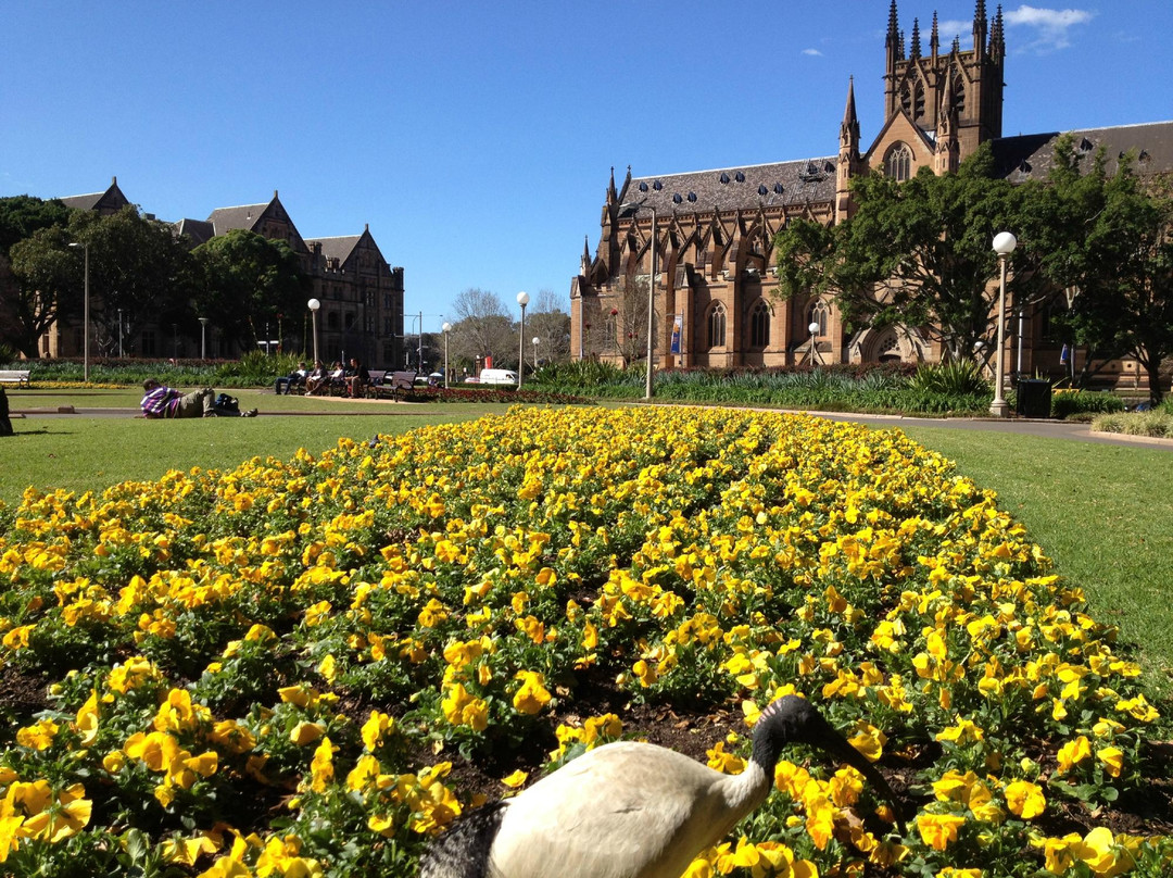 海德公园-悉尼必去景点