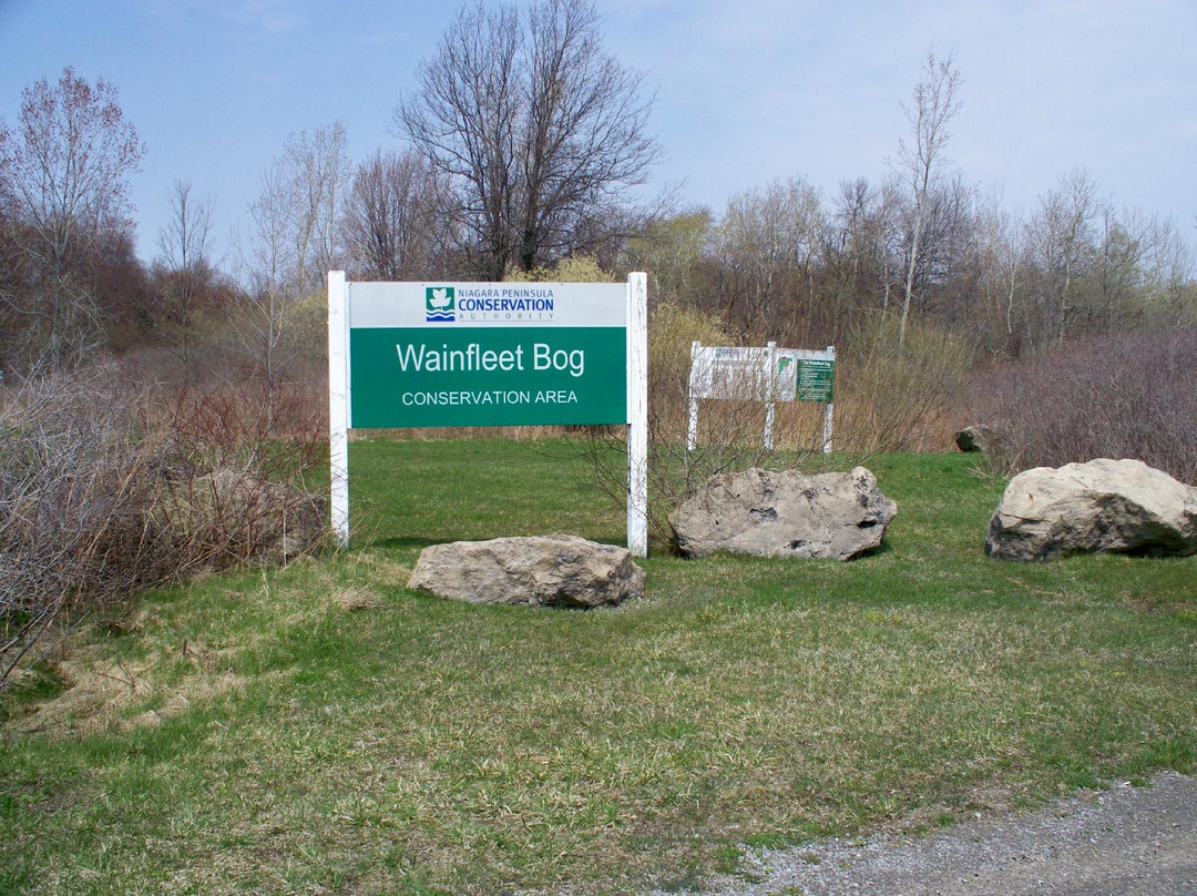 Wainfleet Bog Conservation Area-Wainfleet必去景点