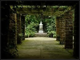 Orchid Garden-桑托斯必去景点